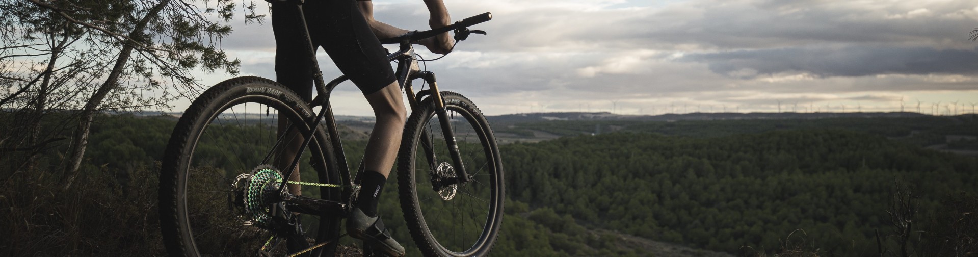 Hardtail