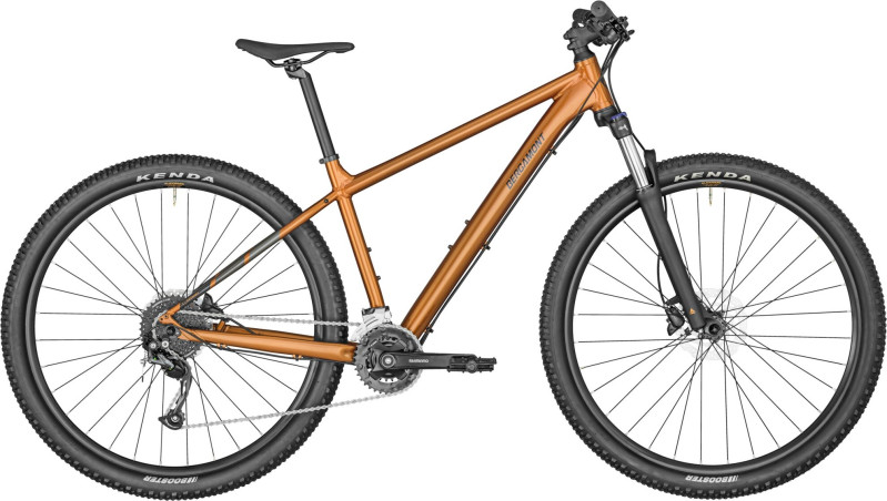 Revox 4 bronze