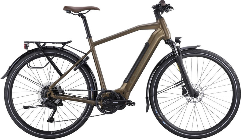 Elder 40S 9vxl Forest brown