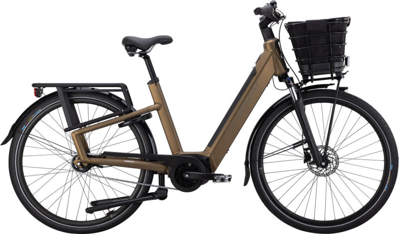 Elston 20B 5vxl Forest brown